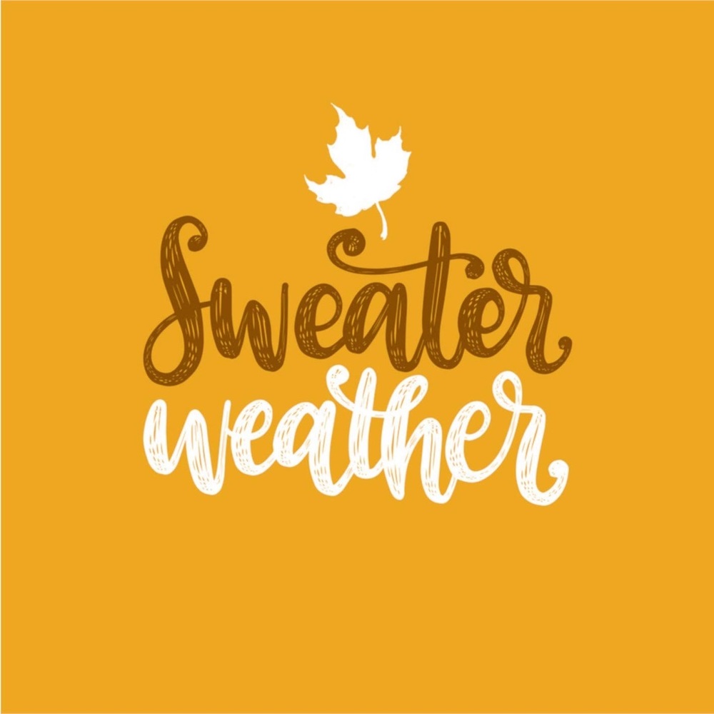 Highest offer accepted on all sweaters!!